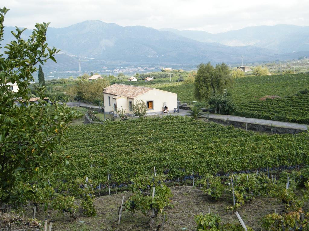 Etna Wine Azienda Agrituristica Passopisciaro Habitación foto